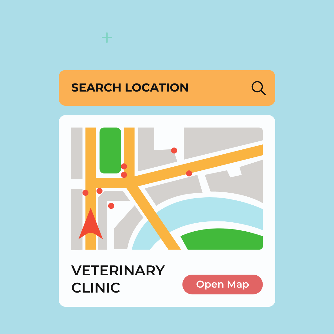 Guide to Every Vet Clinic in Singapore