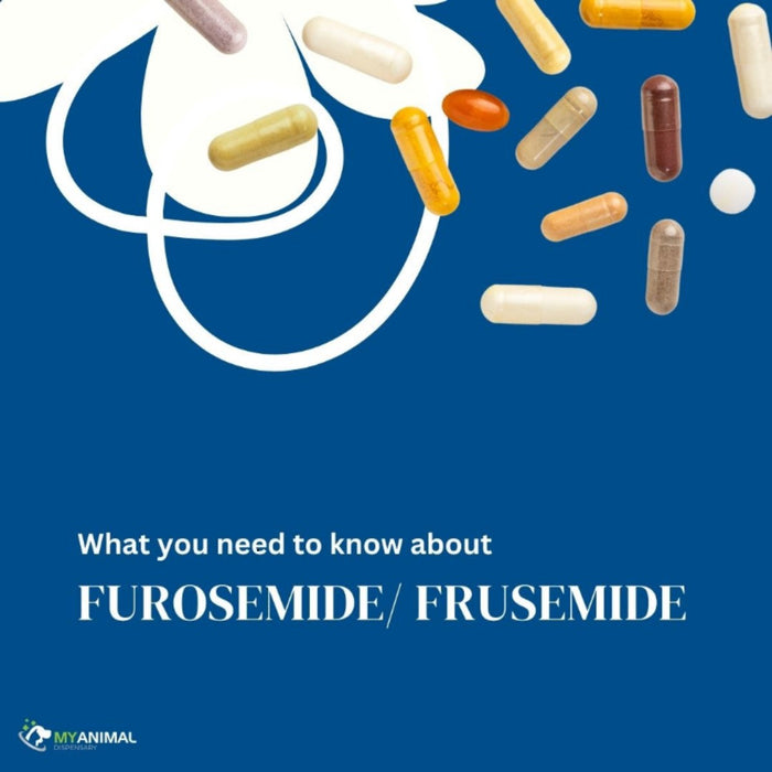 What You Need to Know About Furosemide/Frusemide