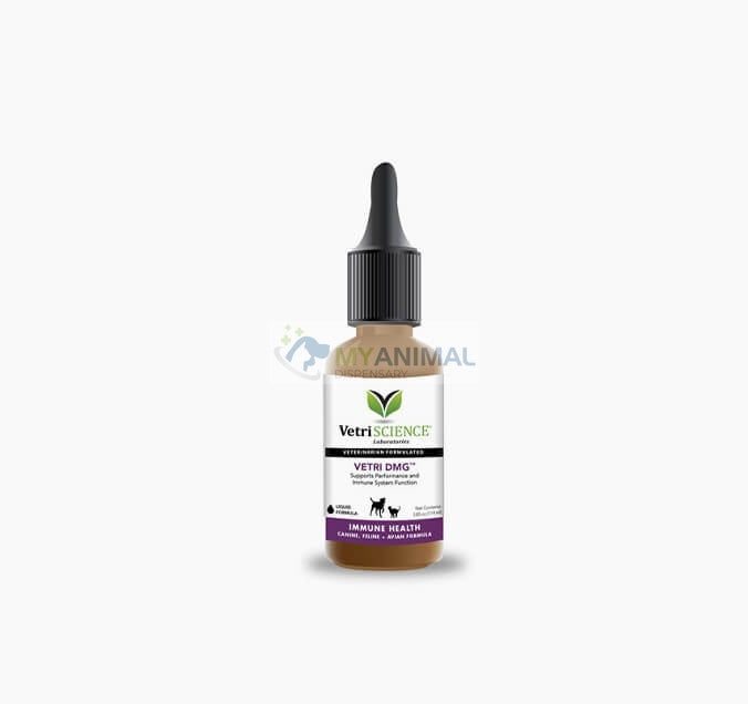 Vetri Science Vetri DMG Liquid 30ml or 114ml My Animal Dispensary