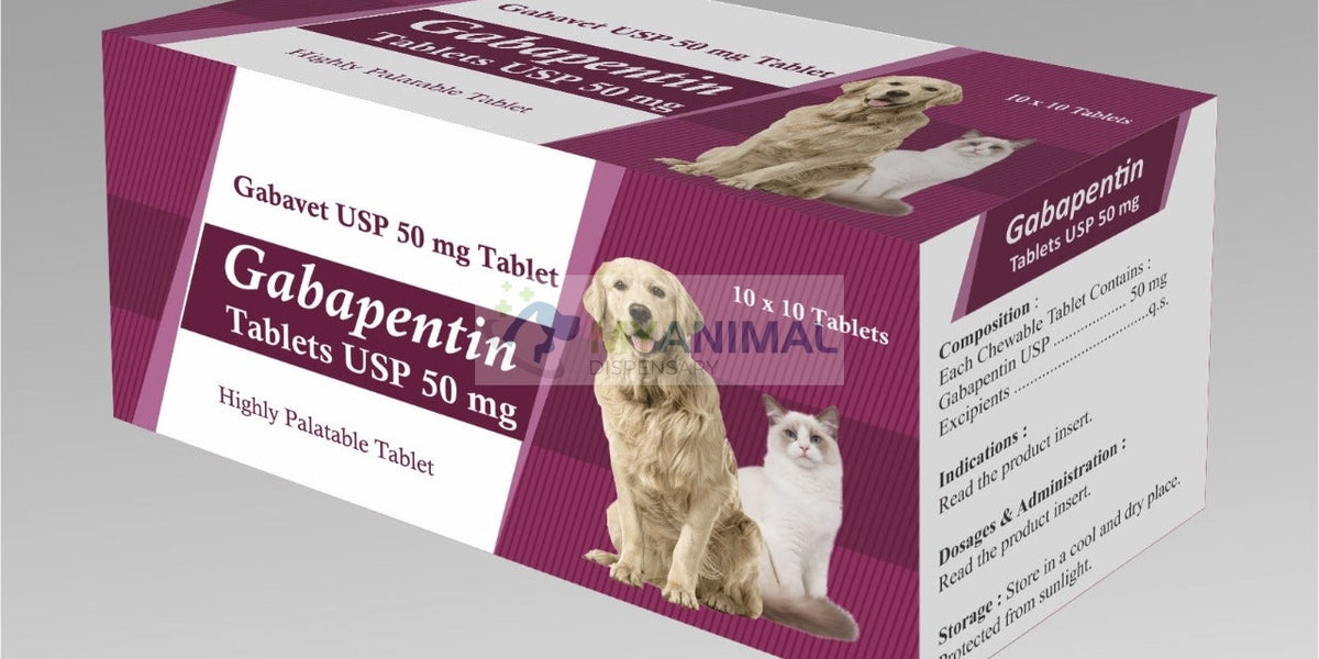 Gabapentin and galliprant for hot sale dogs