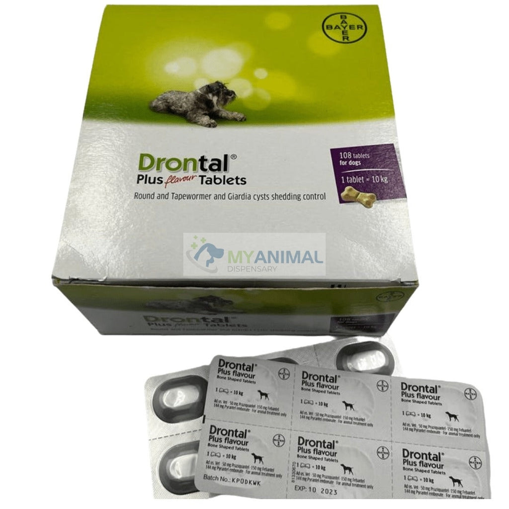 Drontal Plus Flavour tablets for Dogs My Animal Dispensary