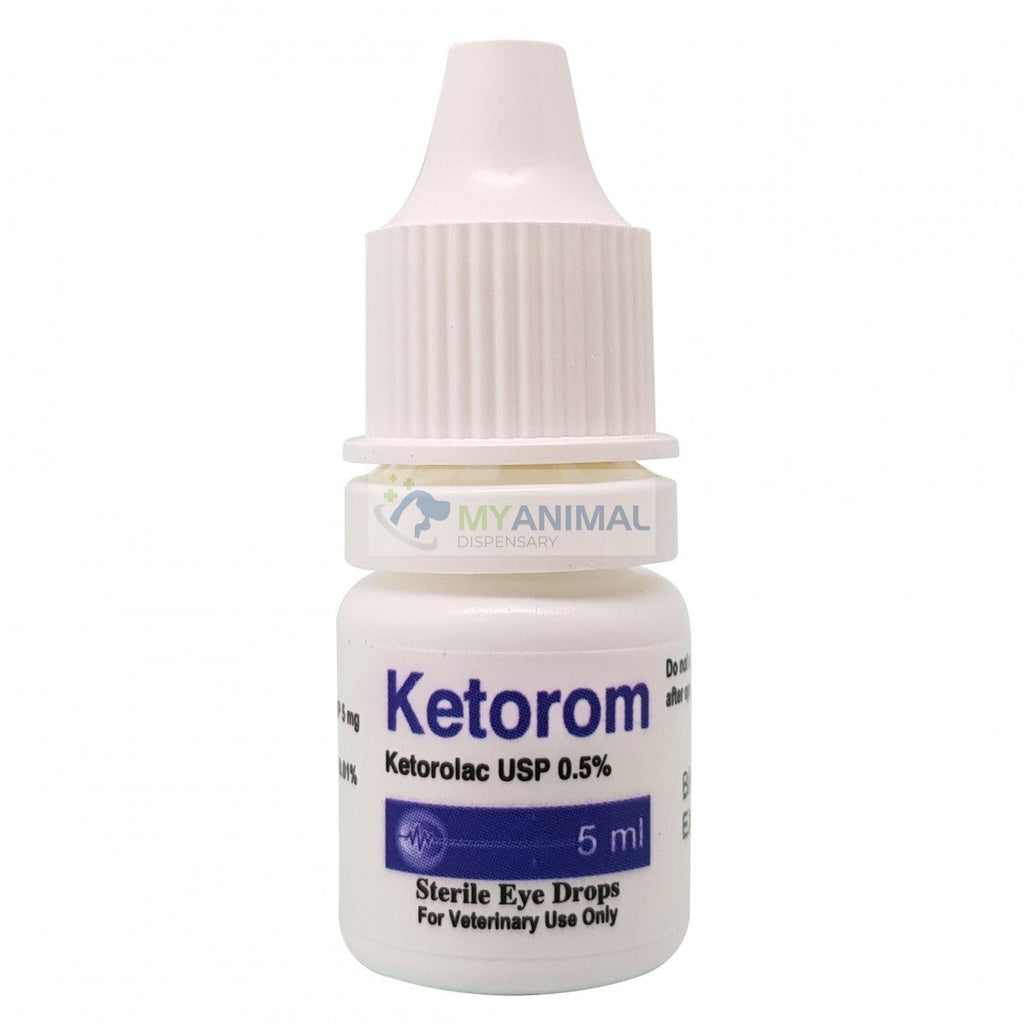 Ketorolac eye drops shop for dogs dosage